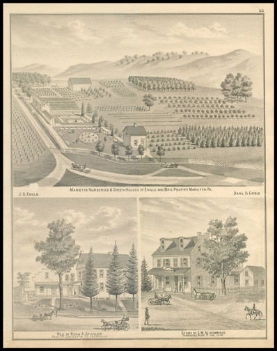Marietta Nurseries & Greenhouses of Engle & Bro.,Store of S. M. Seldomridge,Res. of Rena A. Spickler