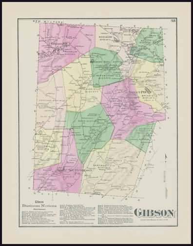 Gibson Township