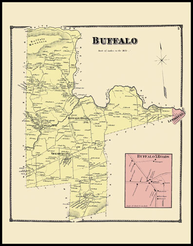 Buffalo Township,Buffalo X Roads