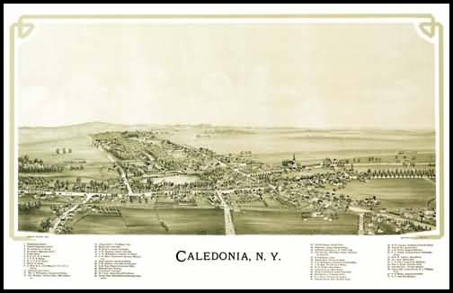 Caledonia Panoramic - 1892